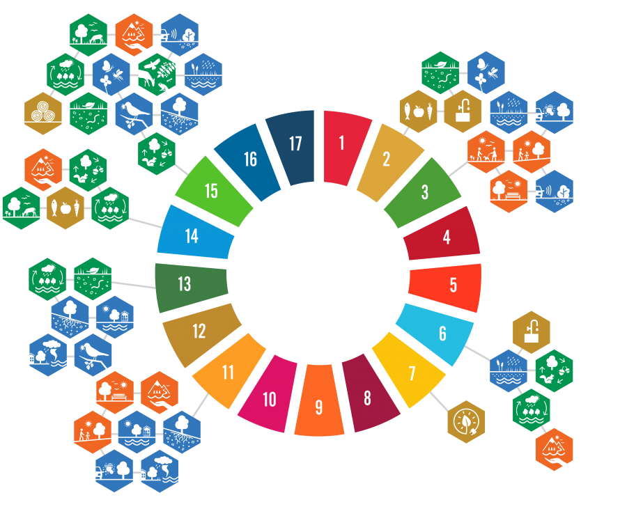 Symbolen för FNs Globala mål i Agenda 2030 med illustrationer