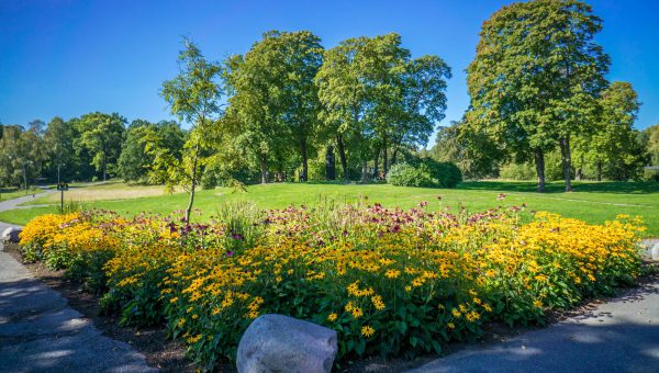 En grönskande park