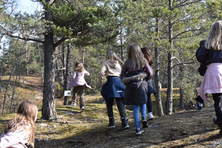 Människor i skogen