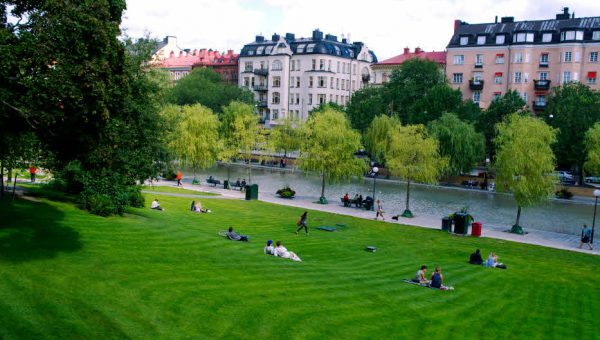 Planera grönt och möt våra stora samhällsutmaningar