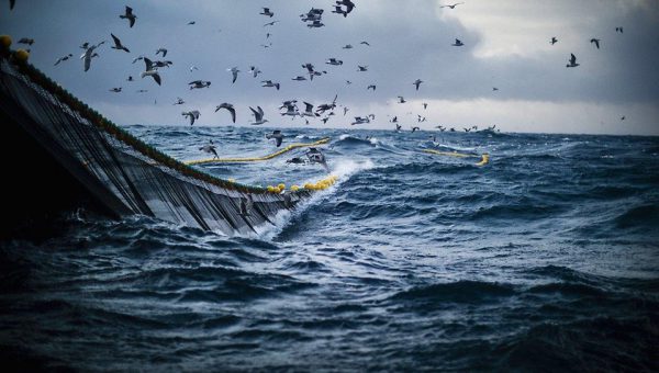 Framtidens fiskehamn – hållbar och värdeskapande?