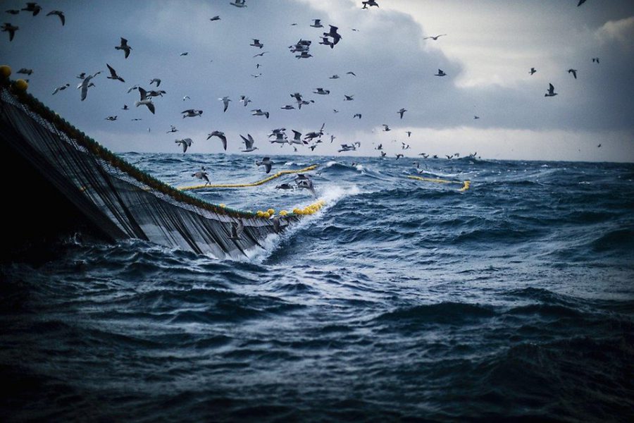 Framtidens fiskehamn – hållbar och värdeskapande?