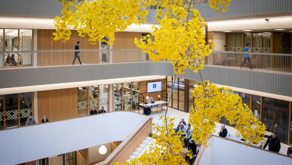 Möt konsten i Göteborgs universitets nya byggnad Natrium.
