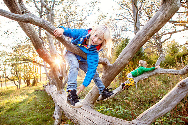 Vistelse i naturmiljö positivt för barns hälsa. Foto på barn som leker på liggande trädstammar.