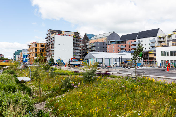 Stöd för hållbar stadsutveckling. Foto på byggnader under uppförande, grässlänt och äldre byggnader.