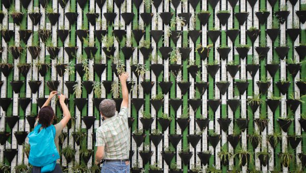 Forskningsdrivna lösningar för en hållbar omställning 2024. Människor framför en vägg med växter.