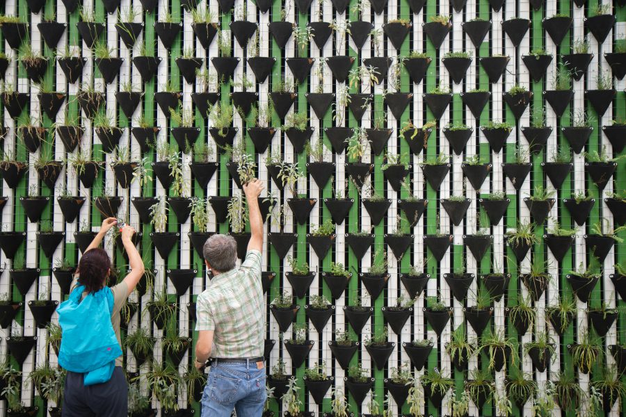 Forskningsdrivna lösningar för en hållbar omställning 2024. Människor framför en vägg med växter.