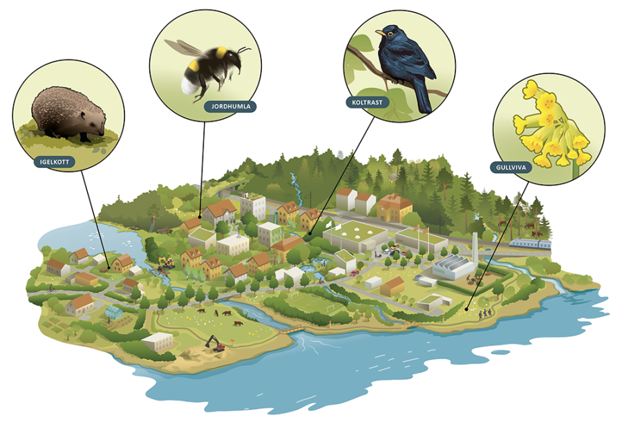 illustration natur, industri vatten bebyggelse och utmarkerat igelkott, jordhumla koltrast och gullviva.