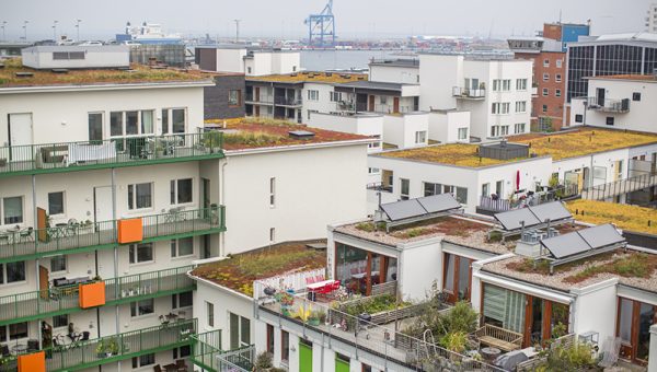 Flerbostadshus grönska tak balkonger Malmö
