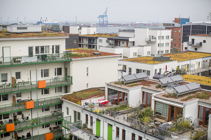 Flerbostadshus grönska tak balkonger Malmö